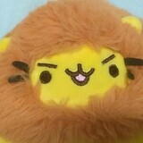 henfeidexifan