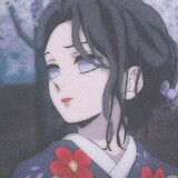 baifumeilaoyaojing