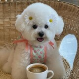 Mama Sang_5850