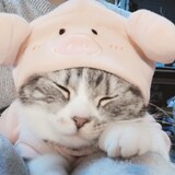 limingmingya