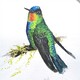 creator avatar
