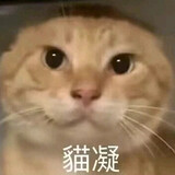 mcshitougaoxiaodeng