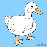 huifeideyaya
