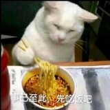 zhukongsama