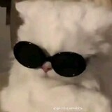 かまやに