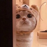 ______buxiangga