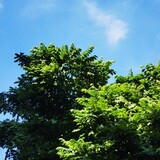 wozaidengfengyezaini