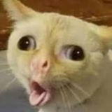 ชื่อซ้ำเยอะไปนะ