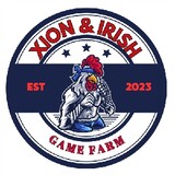 Xion&Irish Gameyard