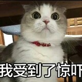 yizhifeizhouxianyuwang