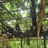 puhuoyingguangw