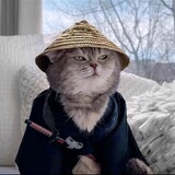 dashiwozhongyuwuleya