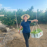 guixiangrencao___jie