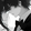 Nisshi