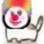 shuge-_