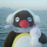 beijiのペンギン