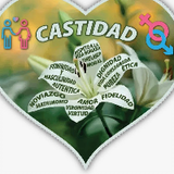 Virginidad castidad