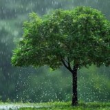 Rain sound channel