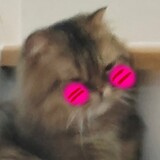 เกรชมาแล้วจะ