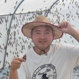 xiaoweimazhayangzhi