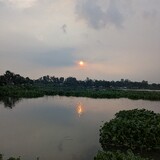 NATURE BD