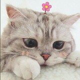gmcolque_02