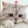 gmcolque_02