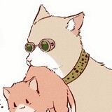 huli__aobaiyaonulihuahua