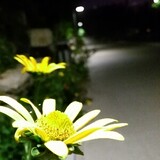 shucang