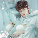 luo___engfengqi