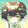 shuishuixuedi