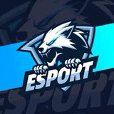 Vn Esport