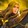 Lancelot Slowly