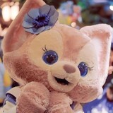 guobaoroushiyihao
