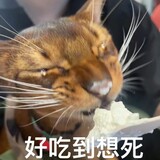 qiaokelipeiyangji