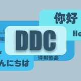 ddcyizhixiehui