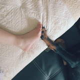 ____liande____