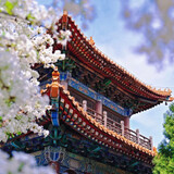 xuancedaozhang