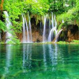 Hoạt Hình Hạt Mầm Cuộc Sống