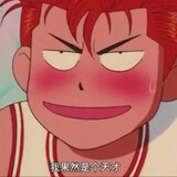 baogedoudezhu