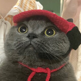 naiyouaitiaoshi