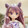 miaosini