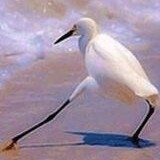 yuluocwc