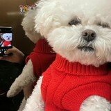 yunzhouzhouzhouzhou