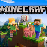 Minecraft Video