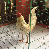 JL & LJ Gamefarm