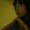Shane Smith_7304