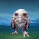 creator avatar