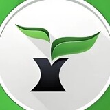 ylmf_gh