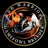 RDDGamefowlbreeder